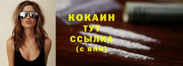 тгк Алексин