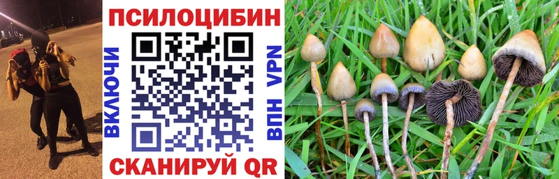Галлюциногенные грибы Psilocybe  как найти закладки  kraken как войти  Апшеронск 