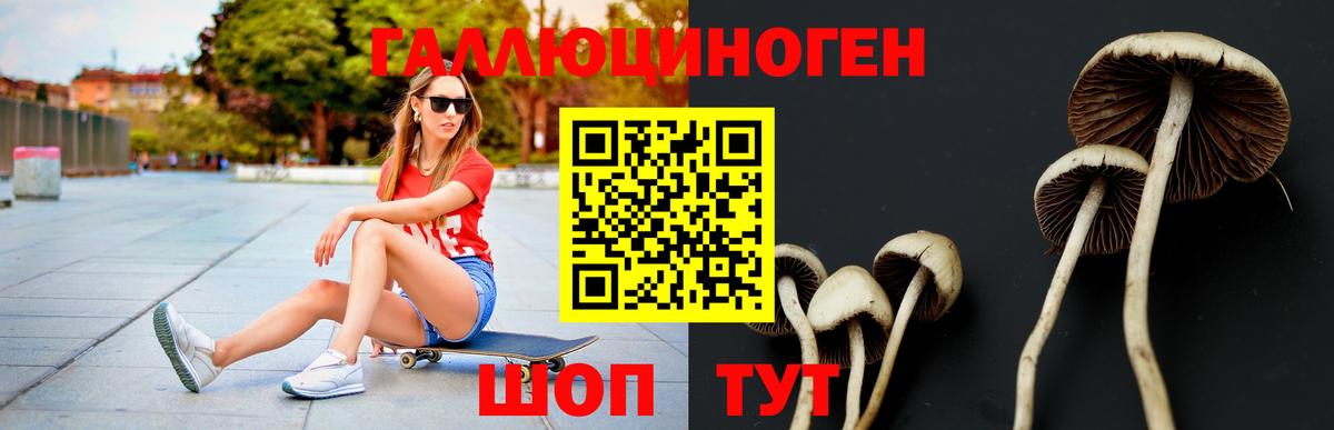 Апшеронск  Псилоцибиновые грибы прущие грибы  Вход с VPN 